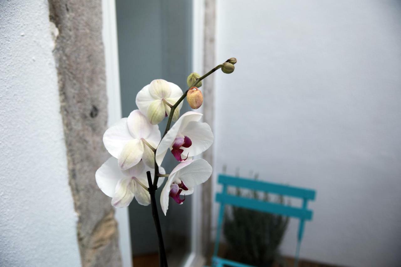 Santo Amaro's House Lejlighed Lisboa